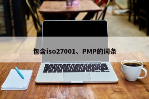 包含iso27001、PMP的词条