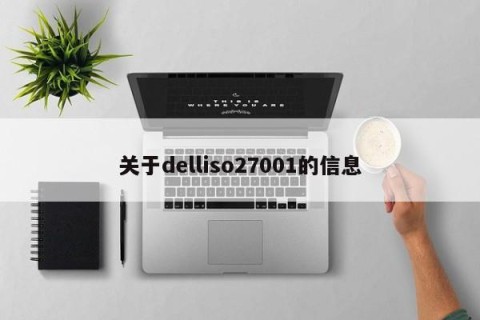 关于delliso27001的信息