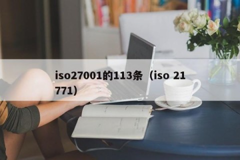 iso27001的113条（iso 21771）