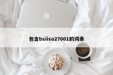 包含bsiiso27001的词条