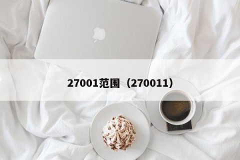 27001范围（270011）