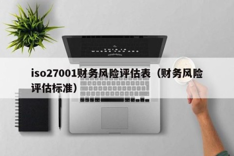 iso27001财务风险评估表（财务风险评估标准）