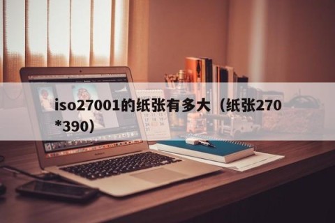 iso27001的纸张有多大（纸张270*390）