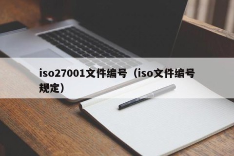iso27001文件编号（iso文件编号规定）