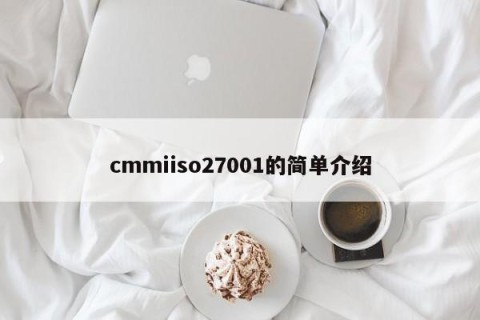 cmmiiso27001的简单介绍