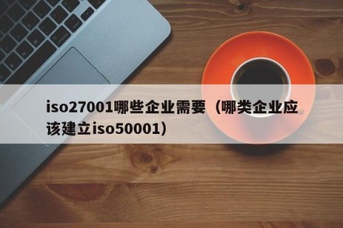 iso27001哪些企业需要（哪类企业应该建立iso50001）